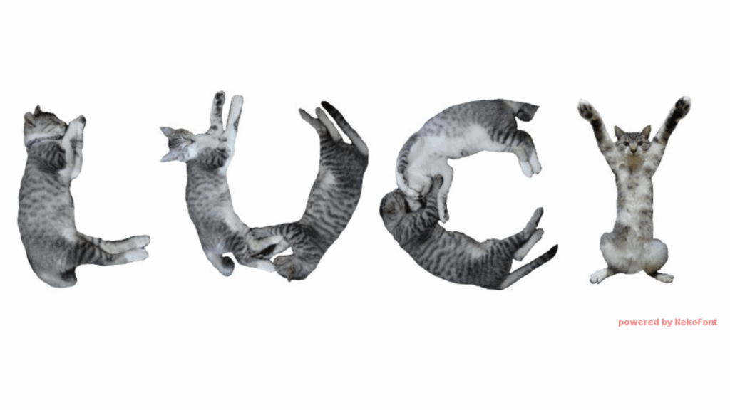 Fanciful image: photos of tabby cats in various positions spelling out "LUCY"